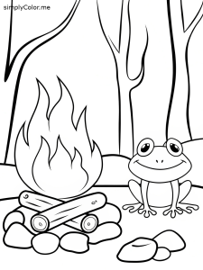 A frog near a campfire