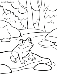 A frog near a mountain stream
