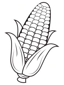 Corn coloring page printable Corn coloring page printable