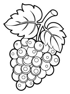 Purple grapes coloring page