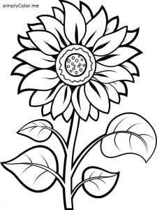 Sunflower coloring page Sunflower coloring page