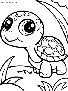 Baby turtle drawing coloring pages turtle cute