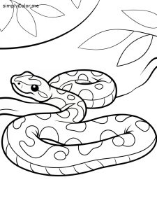 Ball python coloring page