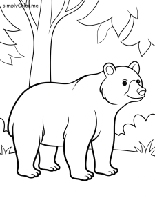 Bear coloring book page, bold and easy Bear coloring book page