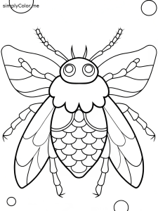 Bug insect coloring pages