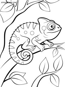 Chameleon coloring page, bold and easy Chameleon coloring page