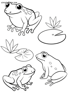 Coloring book pages of frogs, bold and easy Coloring book pages of frogs