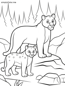 Coloring page a color picture of mountain lions
