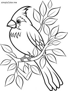 Coloring page cardinal