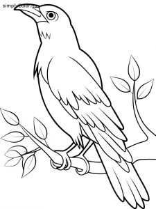 Coloring page crow, bold and easy Coloring page crow