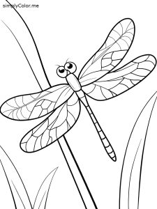Coloring page dragonfly