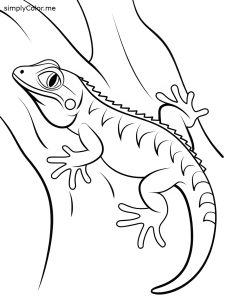 Coloring page lizard