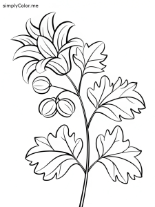 Coloring page of a plant, bold and easy Coloring page of a plant