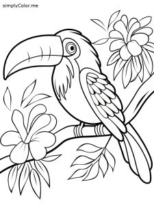 Coloring page of a toucan, bold and easy Coloring page of a toucan