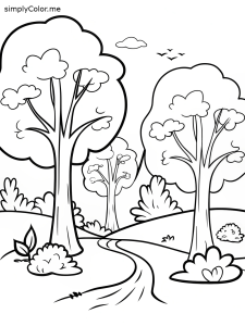 Coloring page temperate deciduous forest clip art