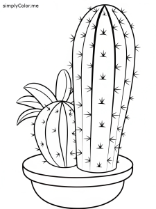 Coloring pages cactus, bold and easy Coloring pages cactus