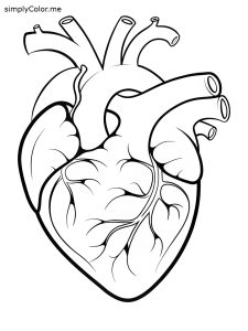 Dinosaur heart coloring page, bold and easy Dinosaur heart coloring page