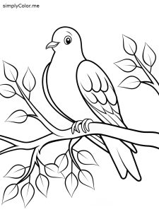 Dove coloring page