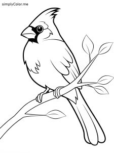 Easy cardinal coloring page, bold and easy Easy cardinal coloring page