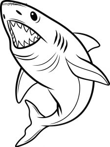 Great white coloring page, bold and easy Great white coloring page