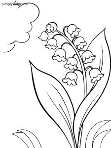 Lily of the valley coloring page
