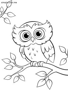 Owl coloring page printable