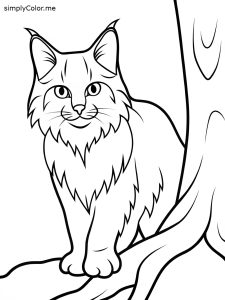 Realistic cat coloring page