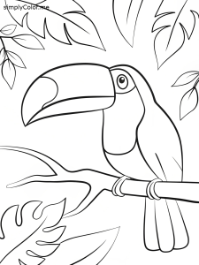 Toucan coloring page