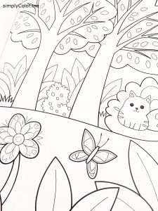Adult nature coloring books