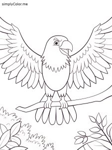 Bald eagle color page