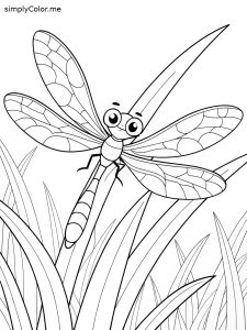 Dragonfly to color