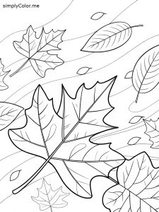 Fall leaves coloring page, bold and easy Fall leaves coloring page