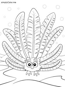 Feather star with delicate arms, bold coloring pages