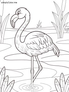 Flamingo coloring Flamingo coloring