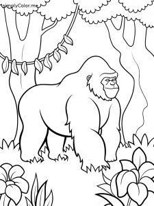 Gorilla color page