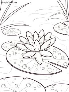 Lily pad color Lily pad color