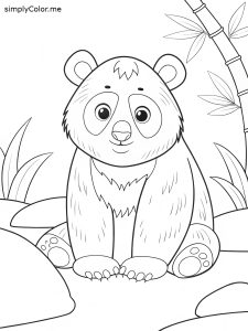 Panda adult coloring page