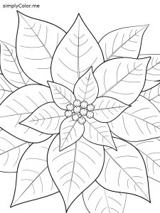 Poinsettia coloring book