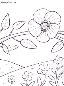 Poppy and branch coloring page