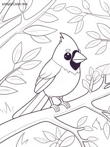 Red cardinal coloring page Red cardinal coloring page