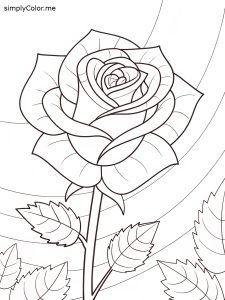 Rose coloring book page