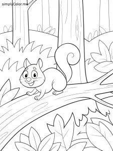 Squirrel in the woods coloring page