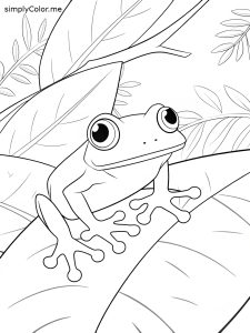 Tree frog coloring Tree frog coloring