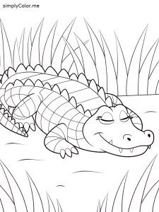 alligator-resting-on-the-grass