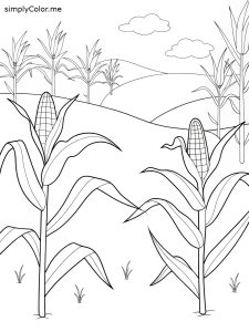Corn on the field coloring sheet growing-corn