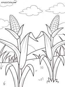 growing-corn(1)