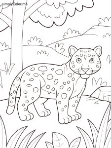 Leopard coloring Leopard coloring