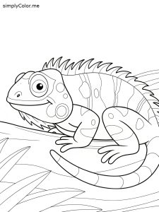 Lizard coloring