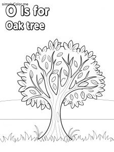 O is for Oak Tree coloring page O is for Oak Tree coloring page
