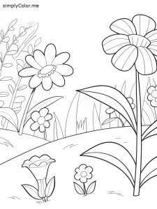 Plants coloring page Plants coloring page
